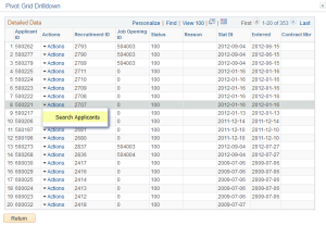 peoplesoft-pivot-grid-4